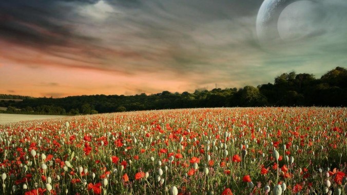 「苏超」宿迁队球员为房企站台遭质疑，商业化会对「草根」竞技体育带来哪些影响？